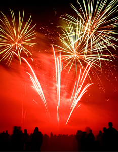 Fireworks Display - Sparks in the Park