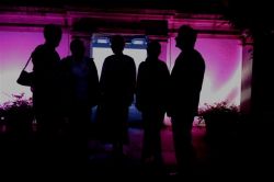 Light up the Night Twilight Sponsored Walk