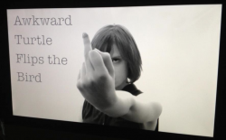 Awkward Turtle Flips the Bird