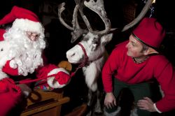 Step Into Christmas 2013