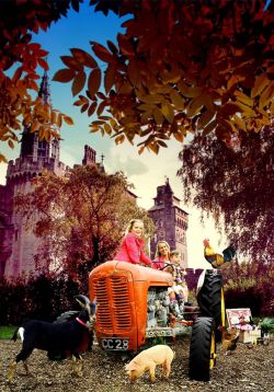 Cardiff Country Fair