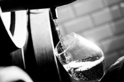 Three Wine Men - It's all about the sherry!