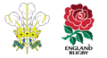 Wales v England Six Nations Rugby