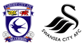 Cardiff City v Swansea City
