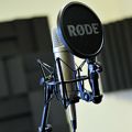 Aesthetic transfer in live performance: singing in duet with the audience's voice