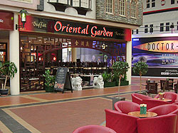 Oriental Garden